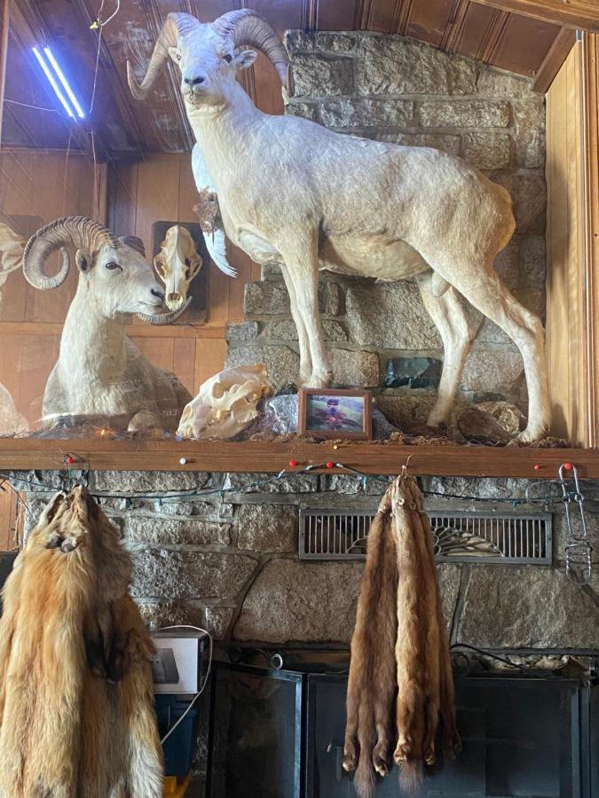 Tolsona Lake Lodge Glennallen Exterior foto